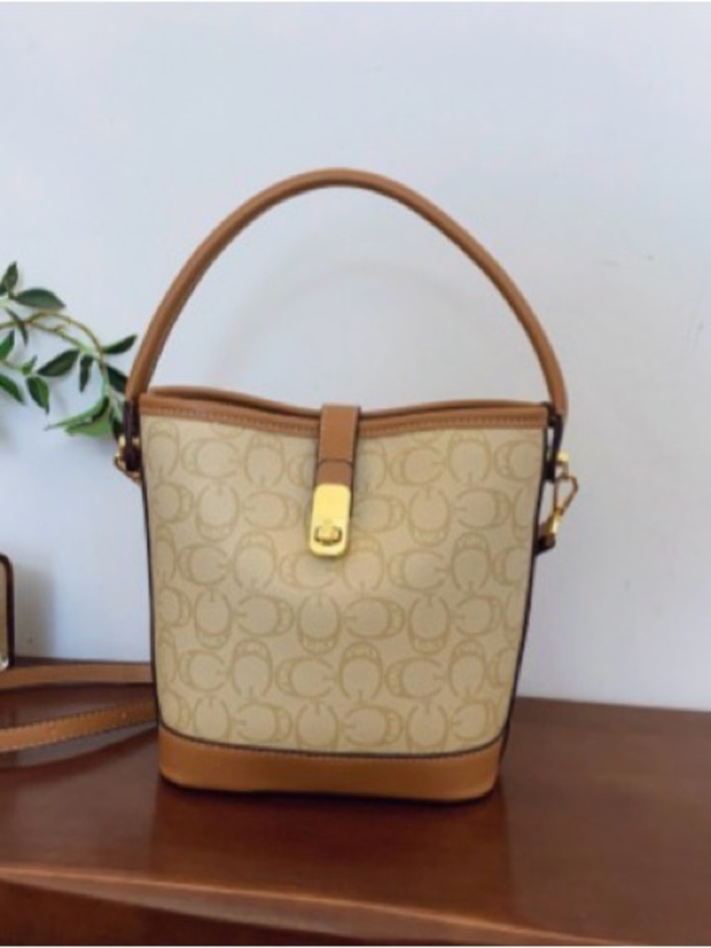 Classic Signature Monogram Bucket Bag in Beige and Tan
